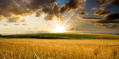 campi-di-grano